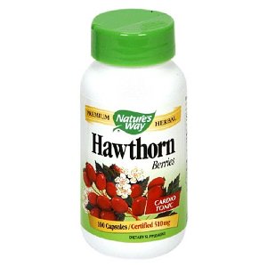 hawthorn herb