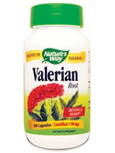 valerian root herb